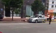 汕尾城区爆料事件最新,揭秘背后真相与影响