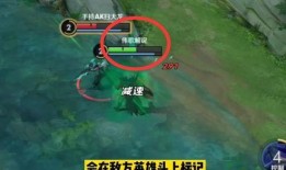 暗影猎兽者爆料了吗视频,视频内容深度解析