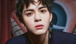 柯奂如最新爆料豆导,揭秘幕后故事与创作灵感